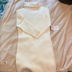 Sweater Dress NWOT